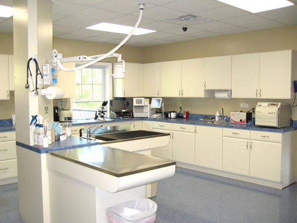 Cats Corner Veterinary Hospital - Oxford , United States