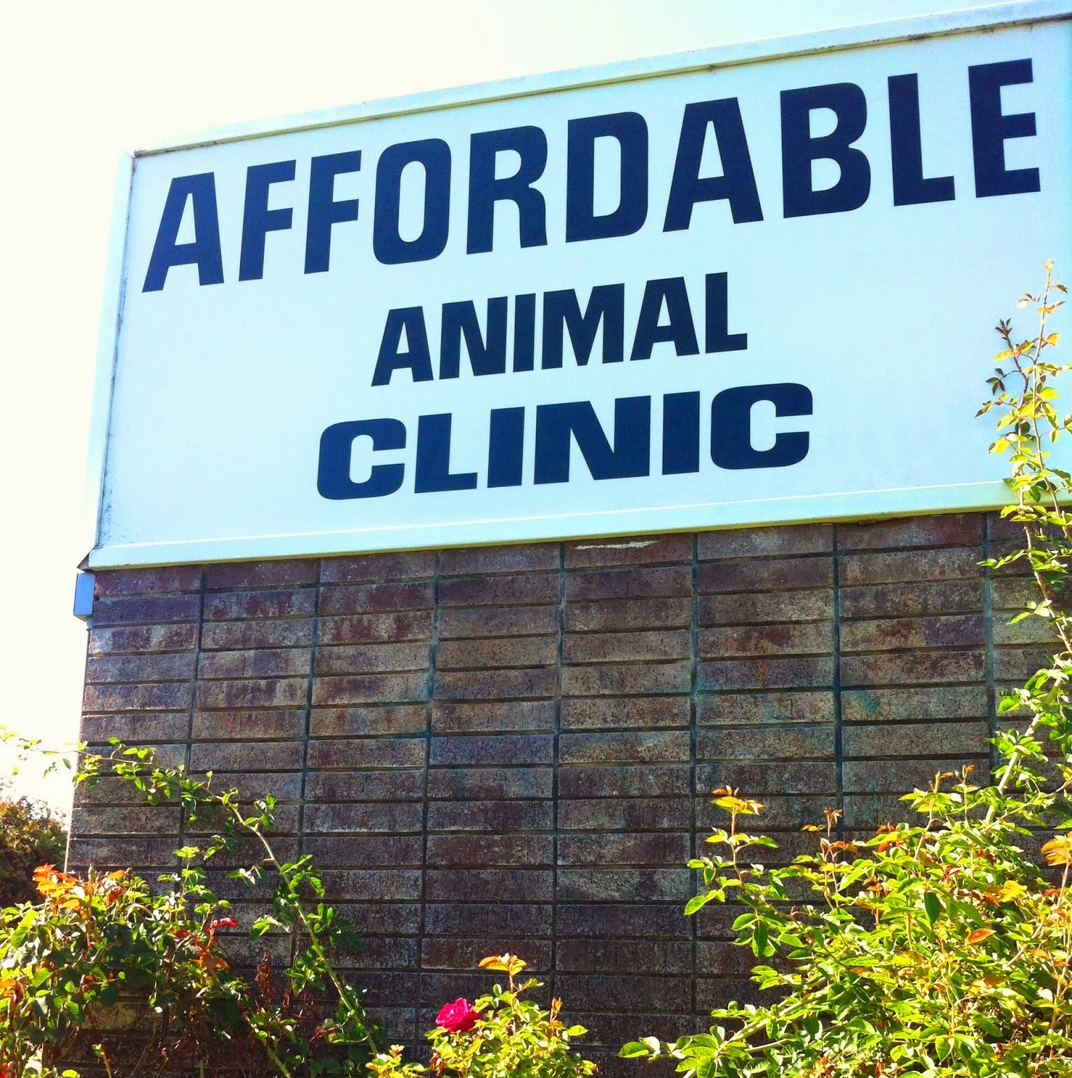 Veterinary Medical Center Of Santa Rosa - Santa Rosa , United States
