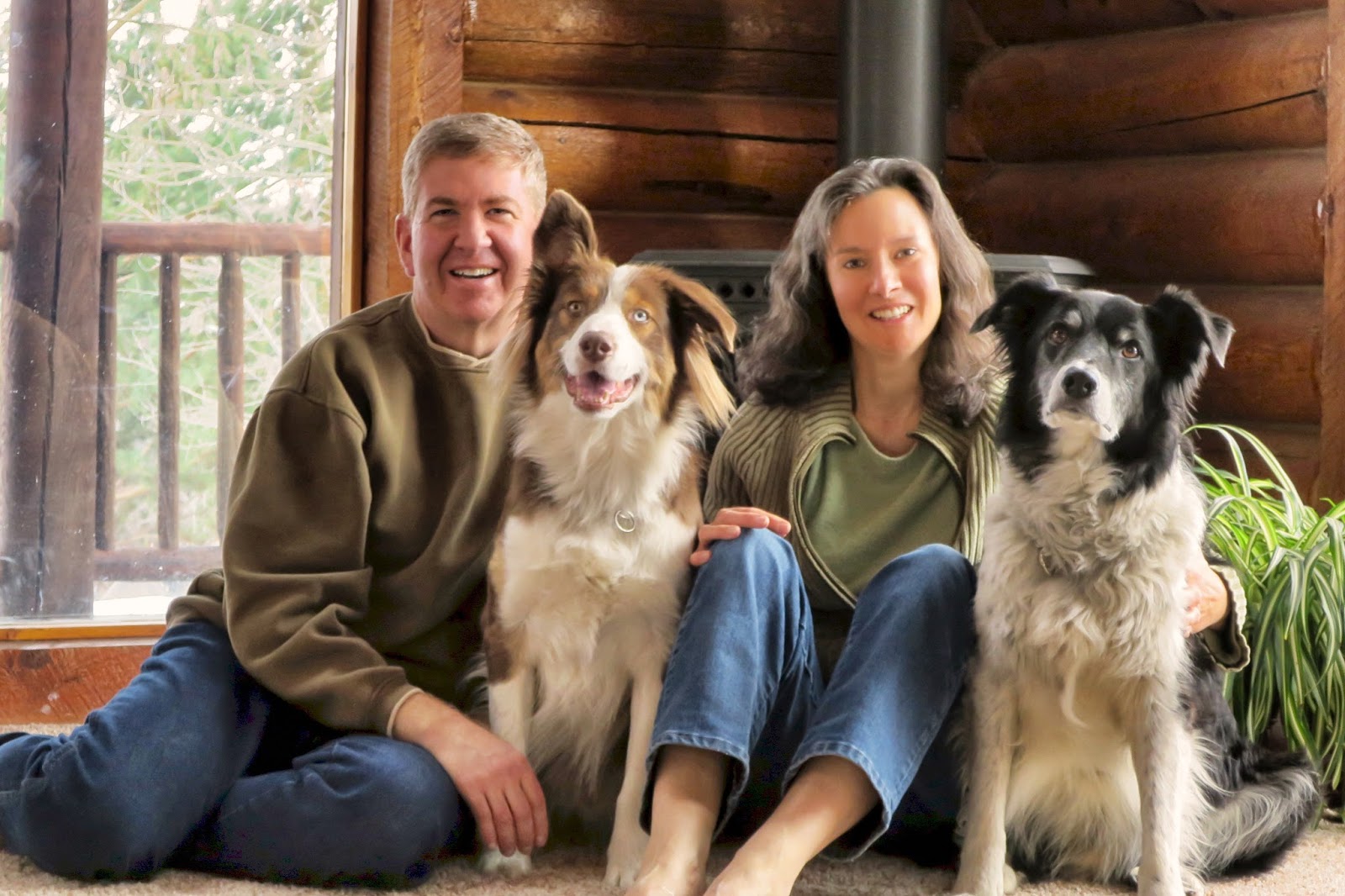 Bluegrass Veterinary Hospital - Ogden , United States