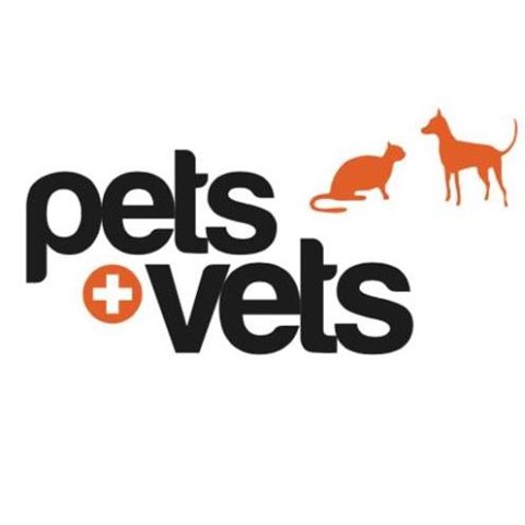 Kalgoorlie Veterinary Clinic - Kalgoorlie S , Australia