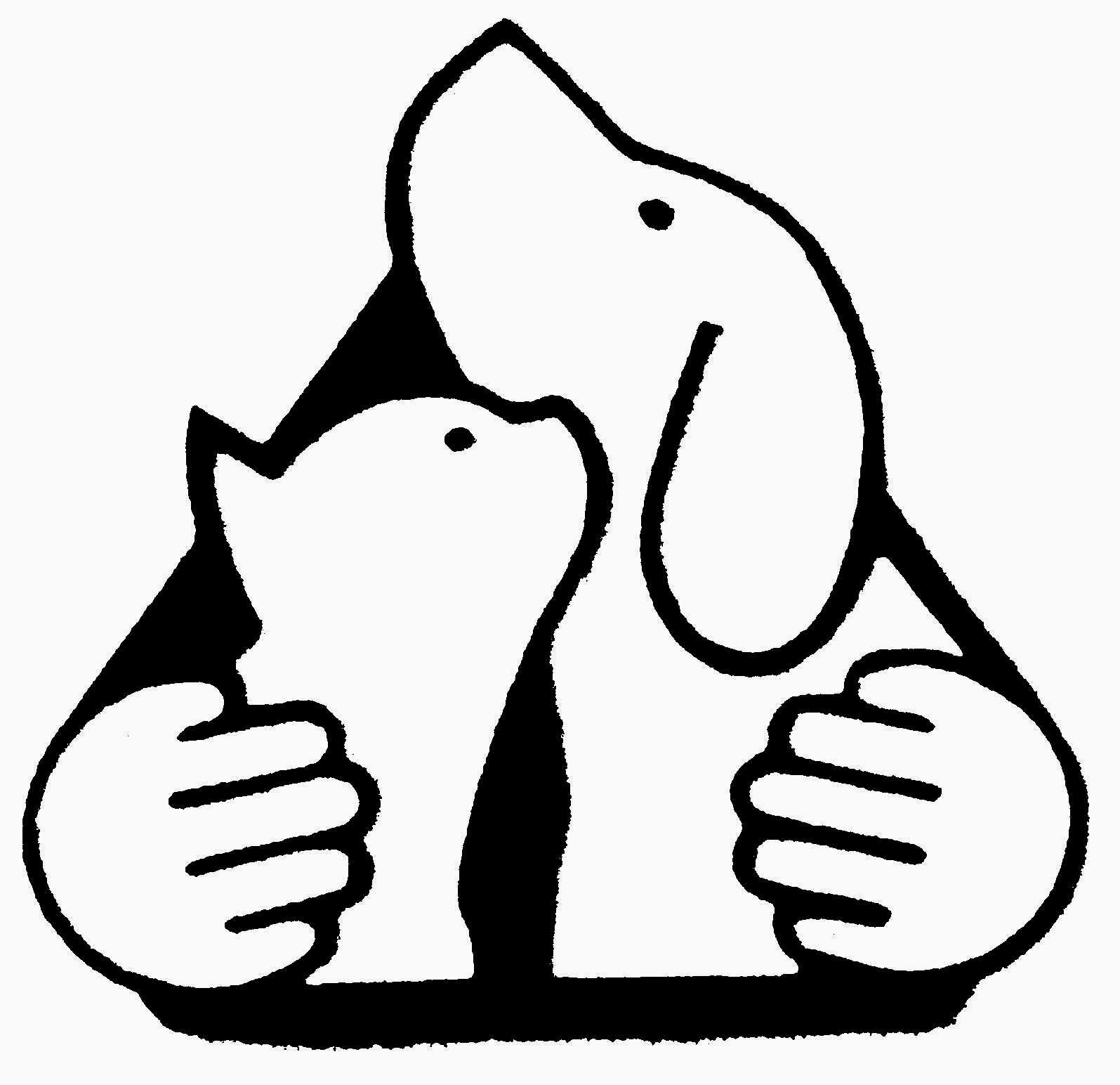 South Windsor Animal Hospital - Windsor , Canada