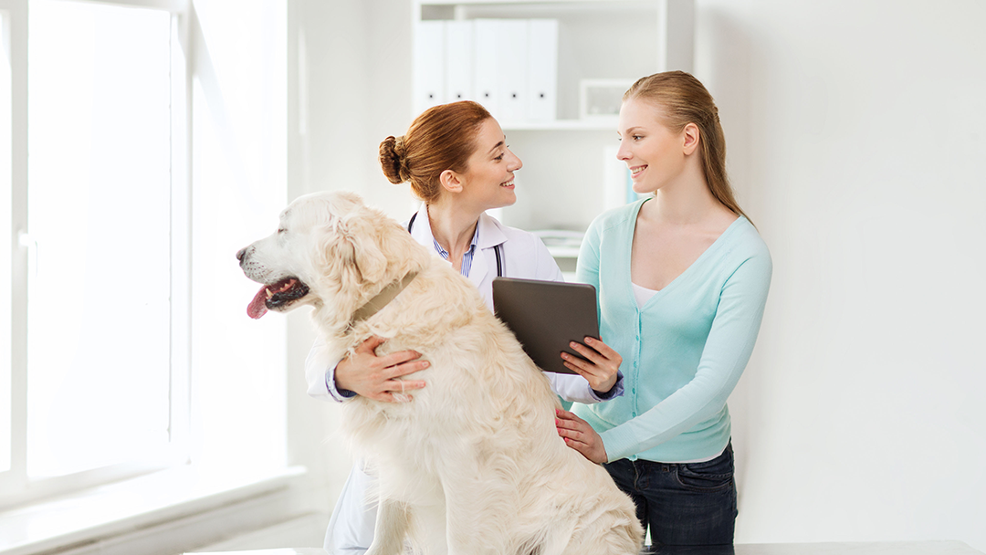 Tender Loving Care Animal Hospital - Freeport , United States