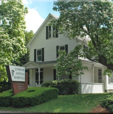 Linwood Animal Hospital - Lowell , United States