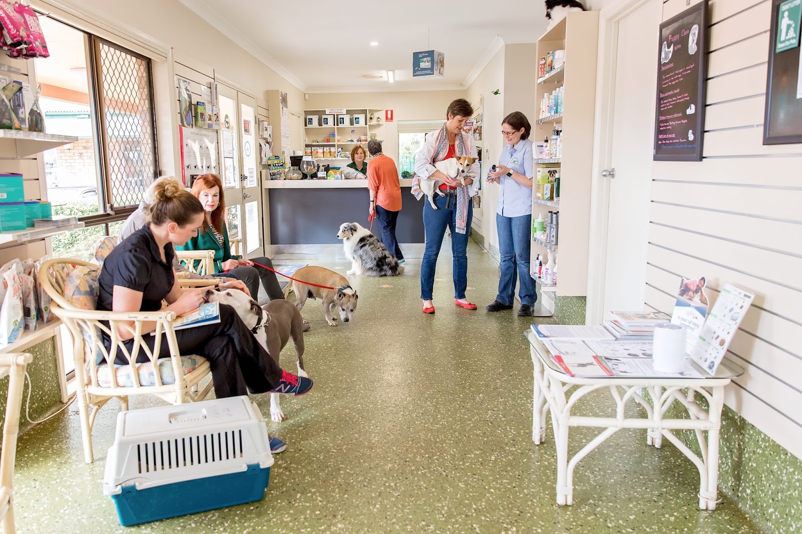Tamborine Mountain Veterinary Surgery - Tamborine Mountain , Australia