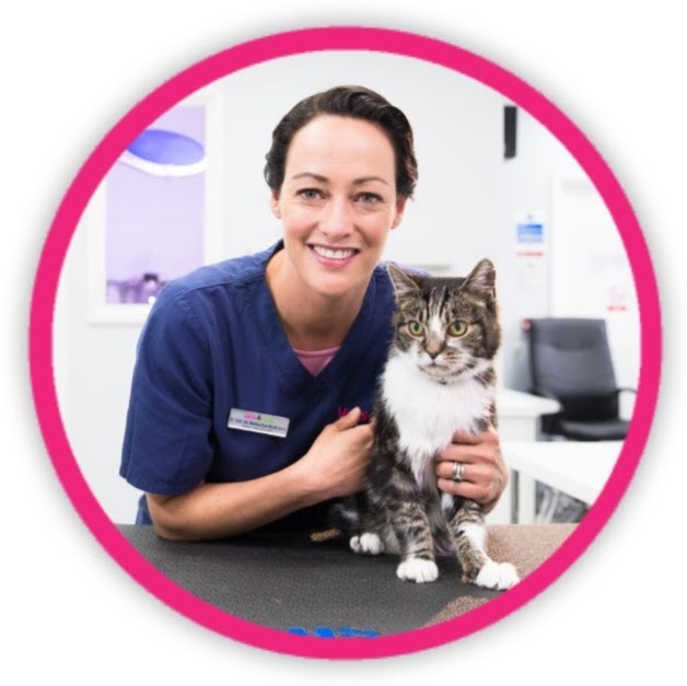 Vets4Pets Cirencester - Cirencester , United Kingdom