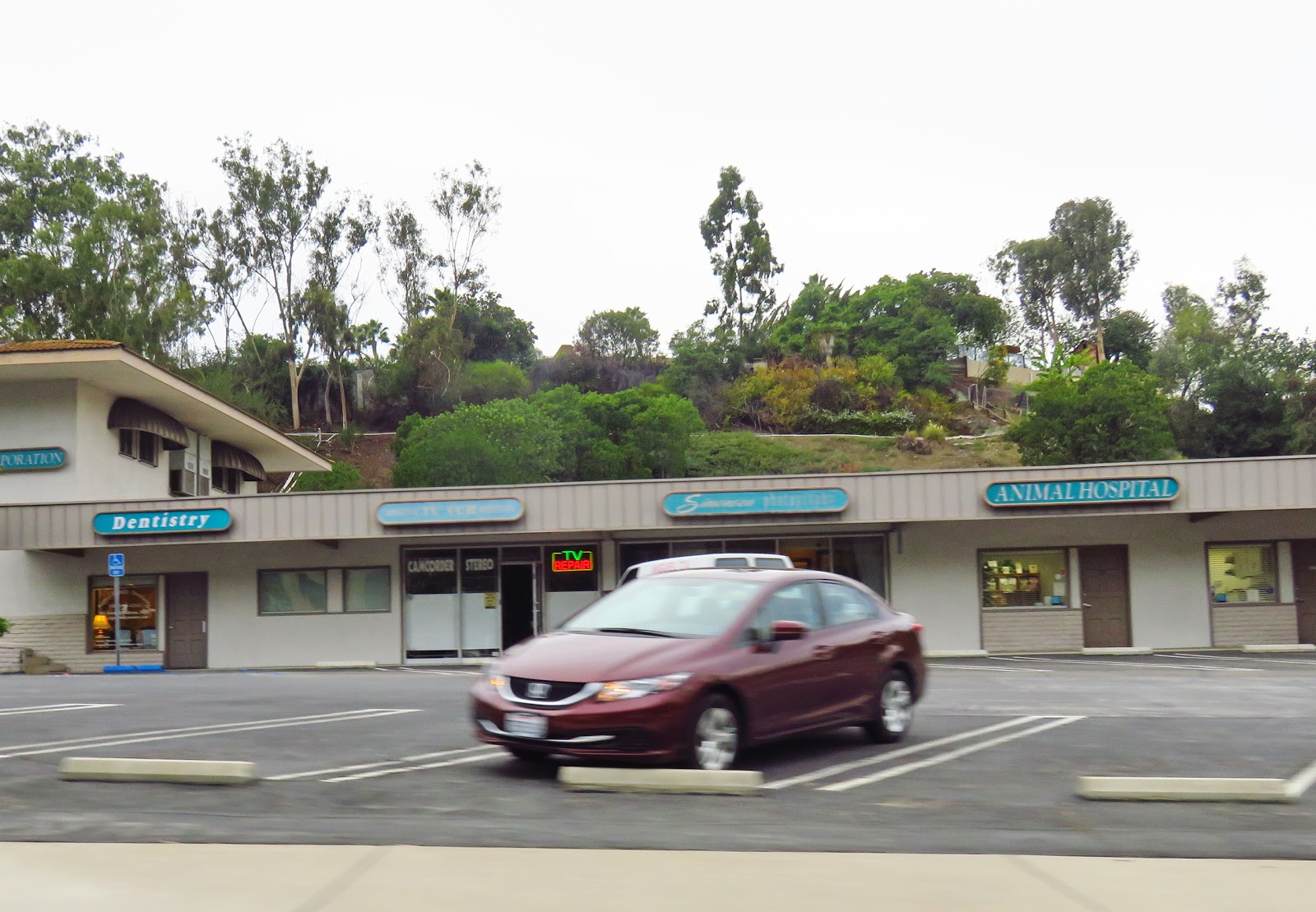 Laguna Niguel Animal Hospital - Laguna Niguel , United States