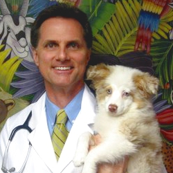 The Animalife Veterinary Center - Naples , United States