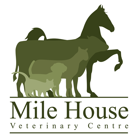 Mile House Veterinary Centre - Northallerton , United Kingdom
