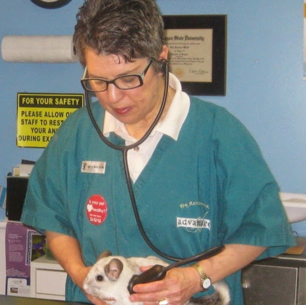 Bennett Road Animal Clinic - Okemos , United States