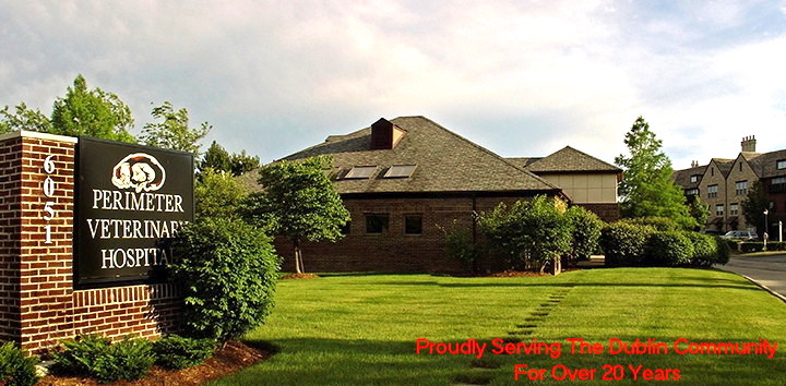Good Life Veterinary Care - Dublin , United States