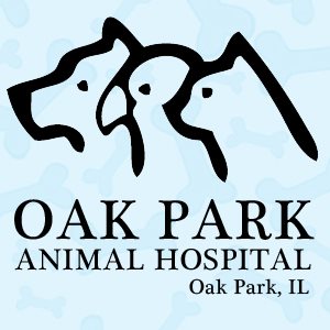 Oak Park Animal Hospital - Oak Park , United States