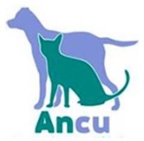 Ancu Veterinary Clinic - Finglas , Ireland