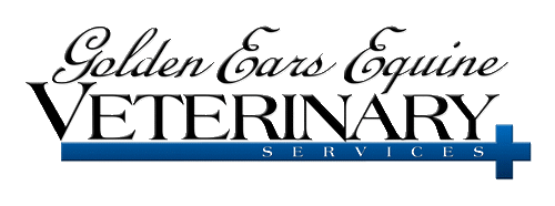 Golden Ears Equine Veterinary Services - Maple Ridge , Canada