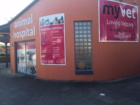 Myvet Byron Bay - Byron Bay , Australia