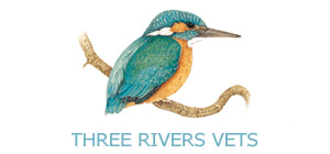 Three Rivers Veterinary Group - Lowestoft , United Kingdom