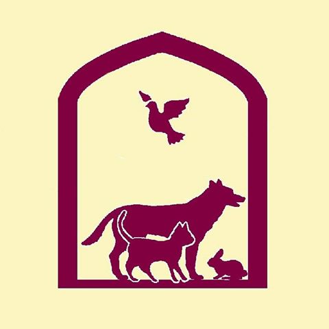 Medivet Sheerness Abbey Veterinary Surgery - Sheerness , United Kingdom