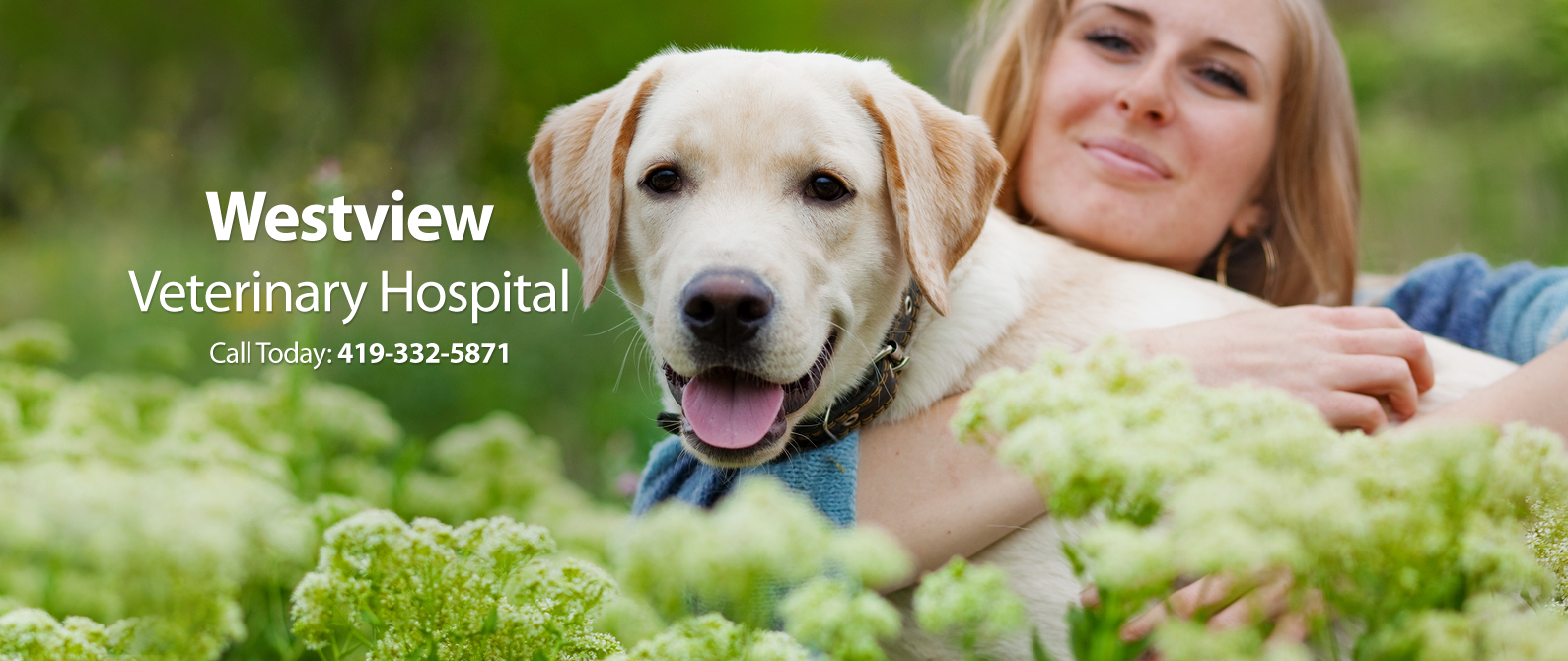 Westview Veterinary Hospital - Fremont , United States
