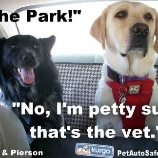 Southside Place Animal Hospital - Houston , United States