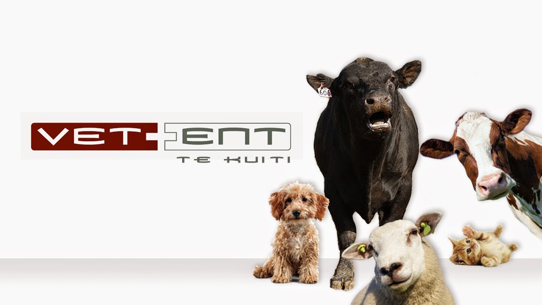 Vetent And Petfirst Veterinary Te Kuiti - Te Kuiti , New Zealand