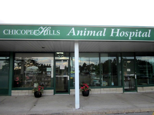 Chicopee Hills Animal Hospital - Kitchener , Canada