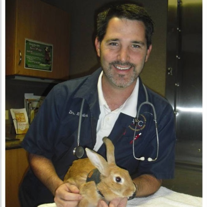 South Anderson Veterinary Clinic - Anderson , United States