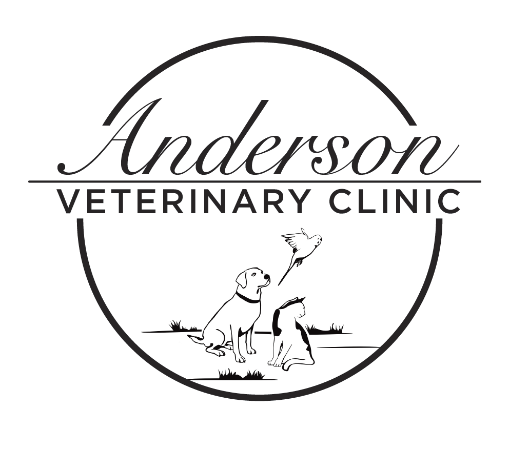 Anderson Veterinary Clinic - Penticton , Canada