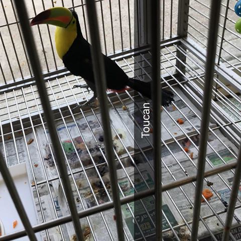 Orchard Veterinary Care - Wilmington , United States