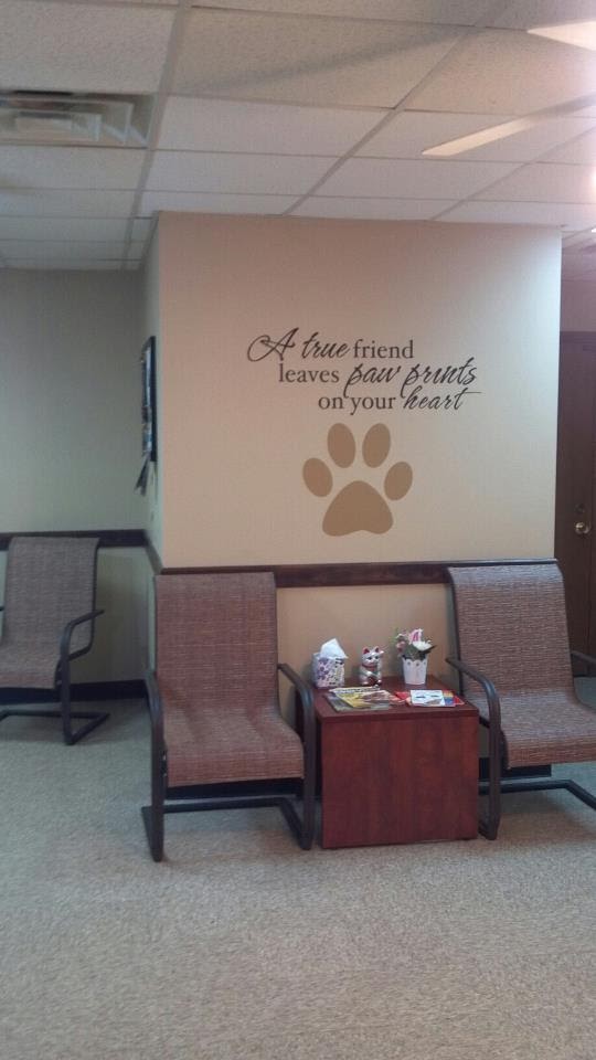 Back 2 Basics Vet Clinic - Cottage Grove , United States