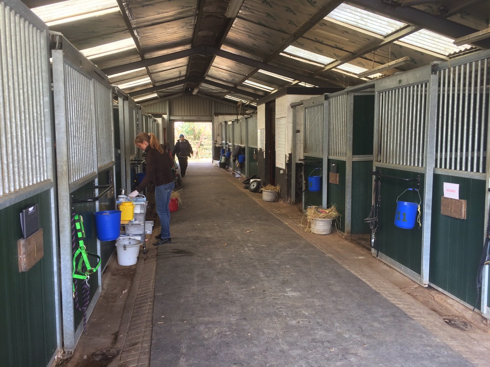 Bourton Vale Equine Clinic - Cheltenham , United Kingdom