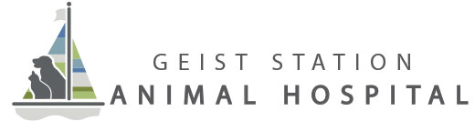 Geist Station Animal Hospital - Indianapolis , United States