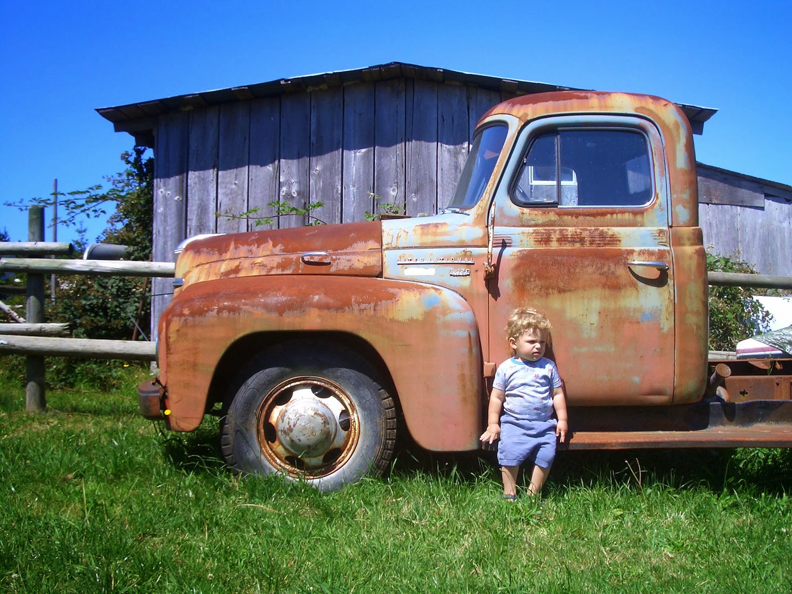 Country Animal Hospital - Courtenay , Canada