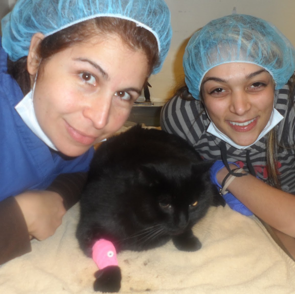 Winchester Animal Clinic - Winchester , United States