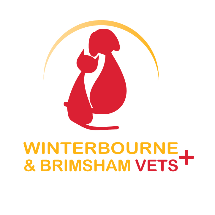 Rowe Vet Group – Winterbourne - Bristol , United Kingdom