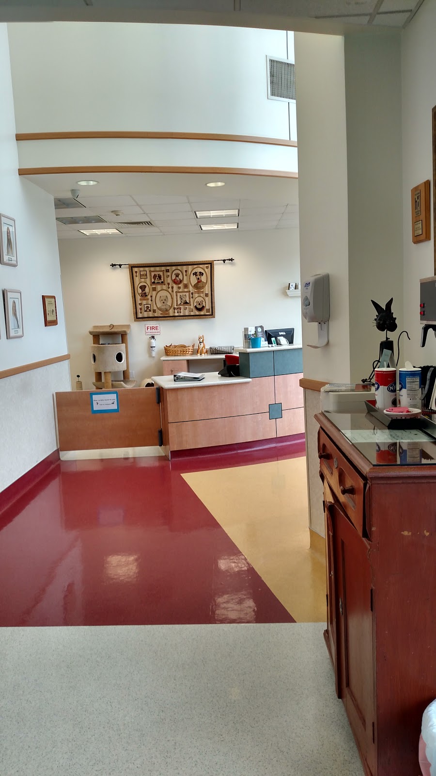 Vca Champions Northwest Animal Hospital - Spring , United States