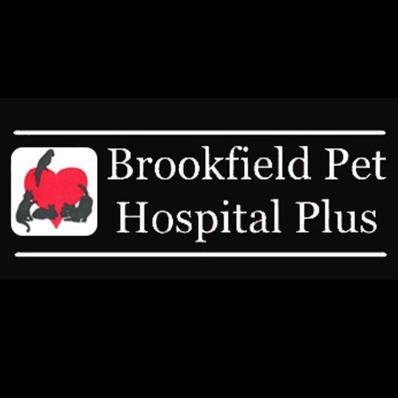 Brookfield Pet Hospital - Fountain Valley , United States