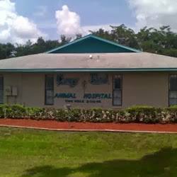 Curry Ford Animal Hospital - Orlando , United States