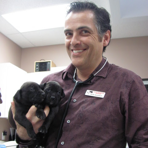 Valley Veterinary Services - Chilliwack , Canada