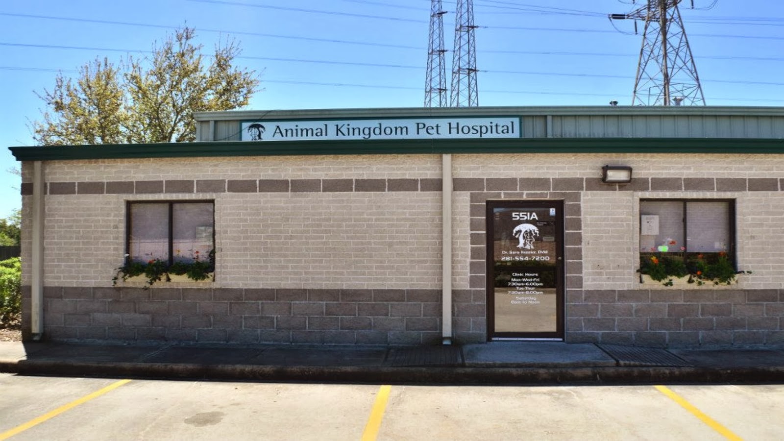Animal Kingdom Pet Hospital - League City , United States
