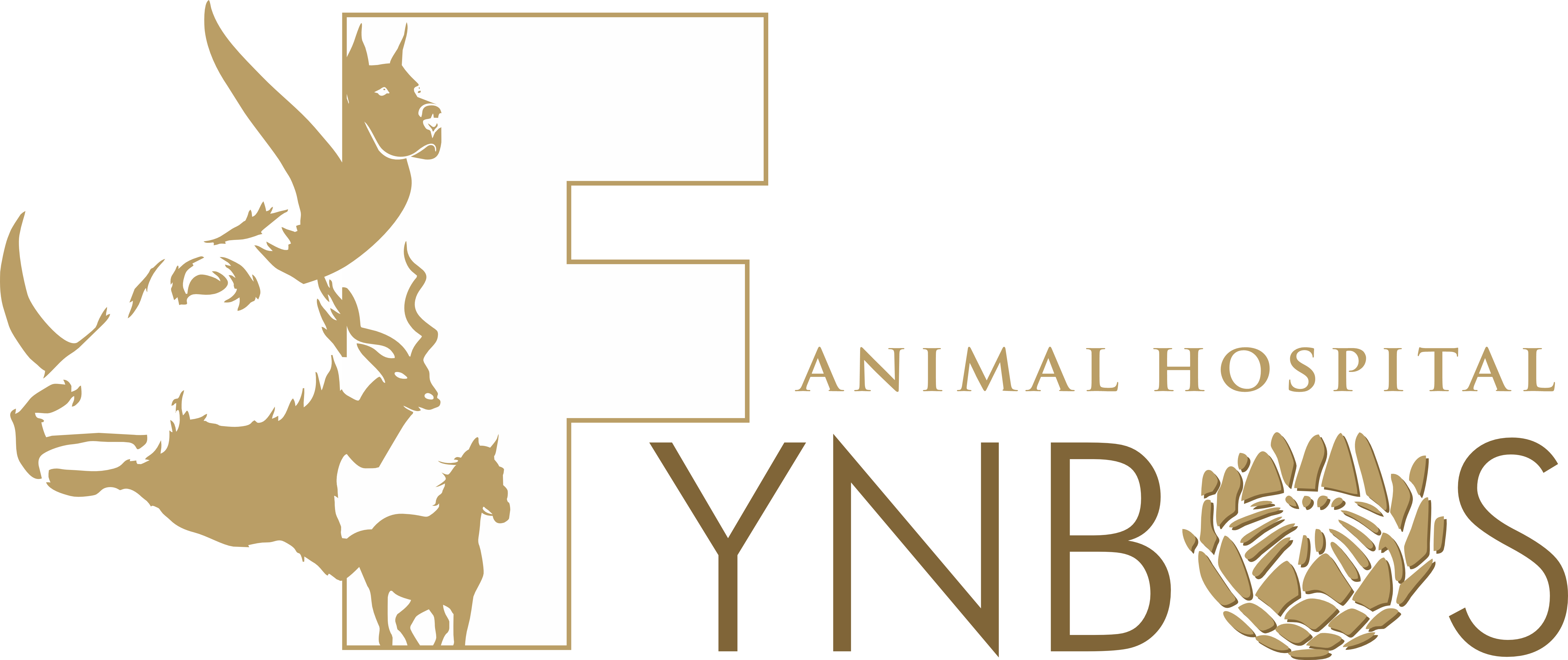 Fynbos Animal Hospital - Worcester , South Africa