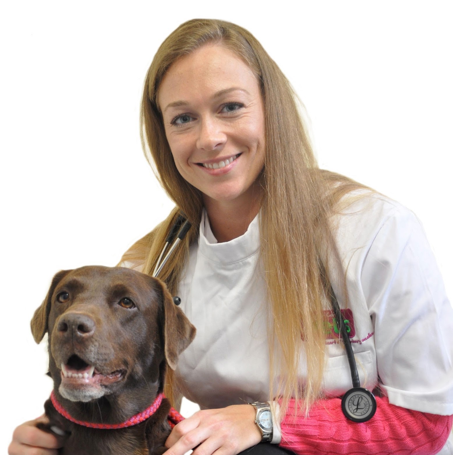 Vets4Pets Cheltenham - Cheltenham , United Kingdom