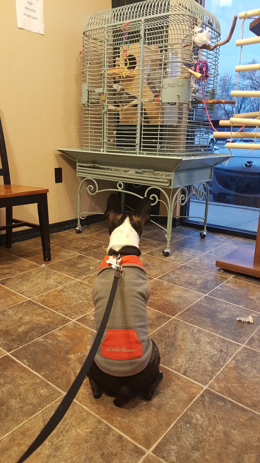 A Caring Vet Hospital - Lindon , United States