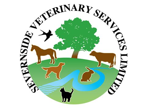Severnside Veterinary Group - Lydney , United Kingdom