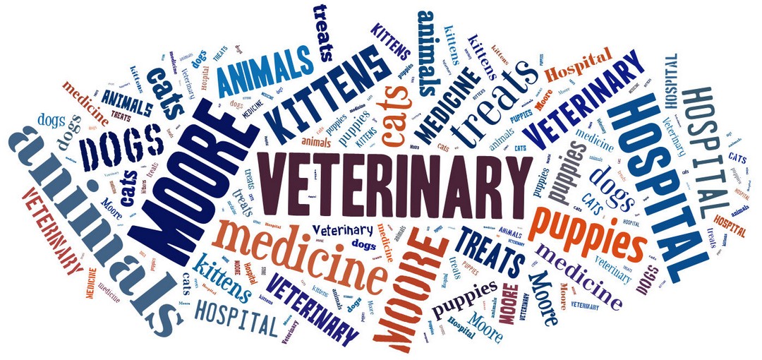 Moore Veterinary Hospital - St Clair Shores , United States