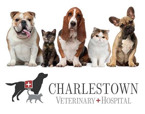 Charlestown Veterinary Hospital - Charlestown , United States