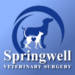 Springwell Veterinary Surgery - Tring , United Kingdom