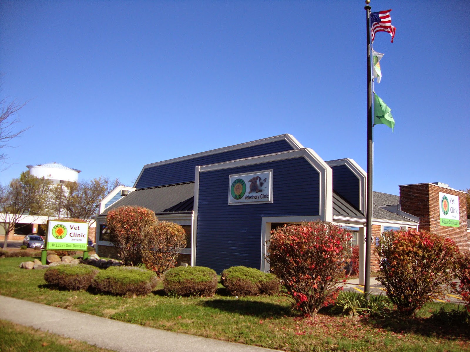 Animal Md Michelle Bahns Dvm - Dayton , United States