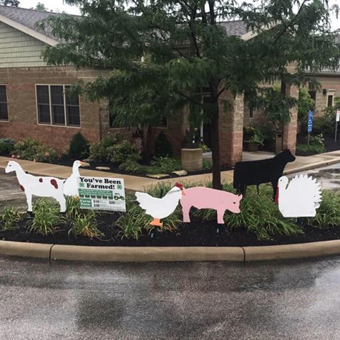 Lauren A Wade D V M - Painesville , United States