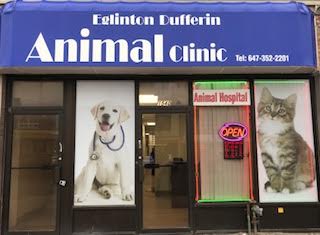 Eglinton Dufferin Animal Clinic - Toronto , Canada