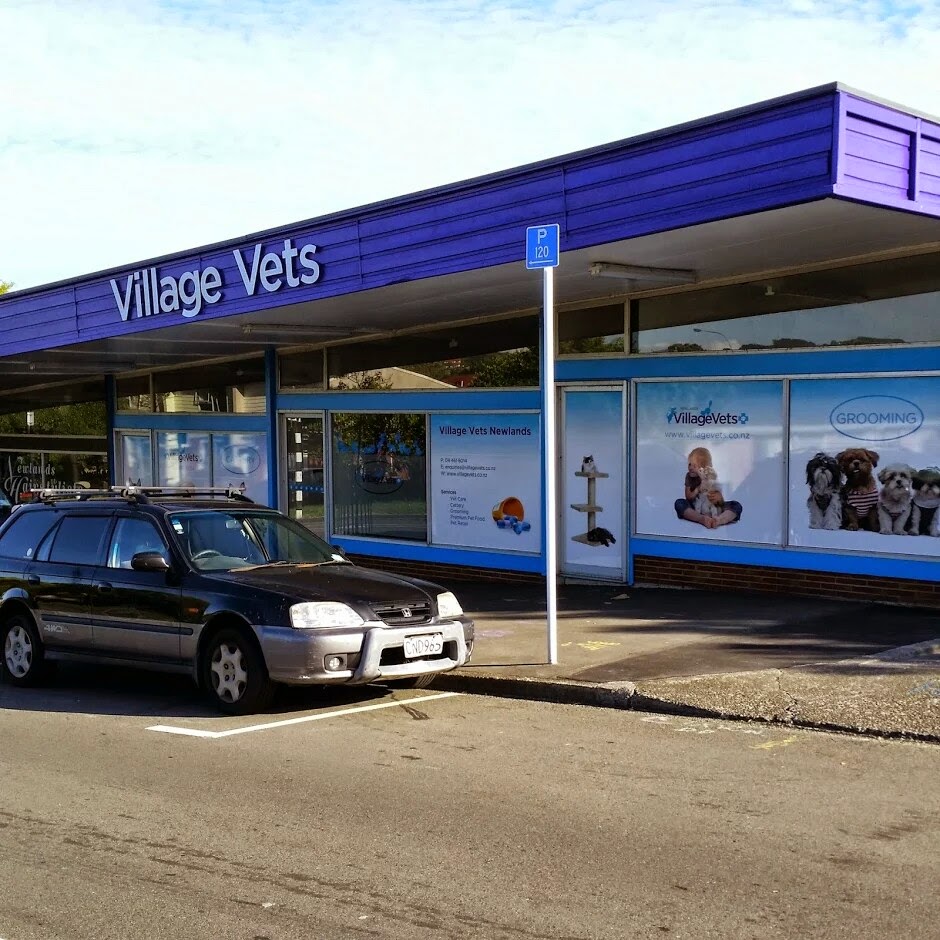 Village Vets Newlands - Newlands , New Zealand