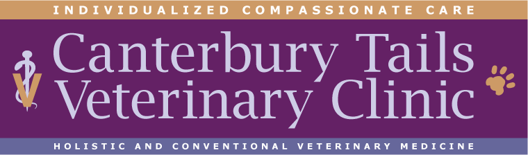 Canterbury Tails Veterinary Clinic - Ware , United States